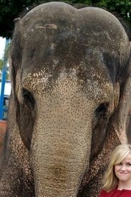 Ảnh diễn viên Tai the Elephant